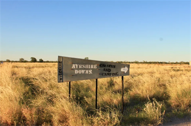 Ayrshire_downs_pic_1.png