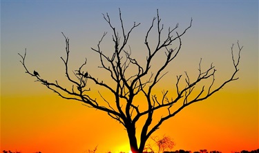 bladensburg_sunset.jpg