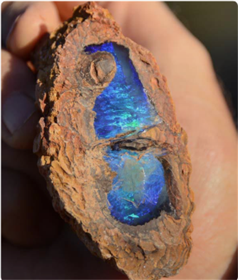 Opal-Fossicking.png