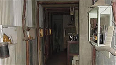 OpalWalk.png