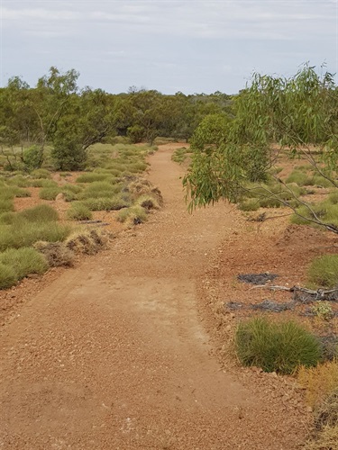 Walking_track.jpg