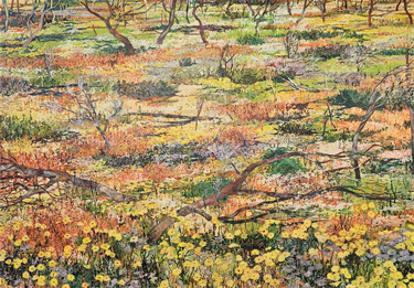 Nat Ward 'Beautiful Scrubland' Major Award Winner $10,000