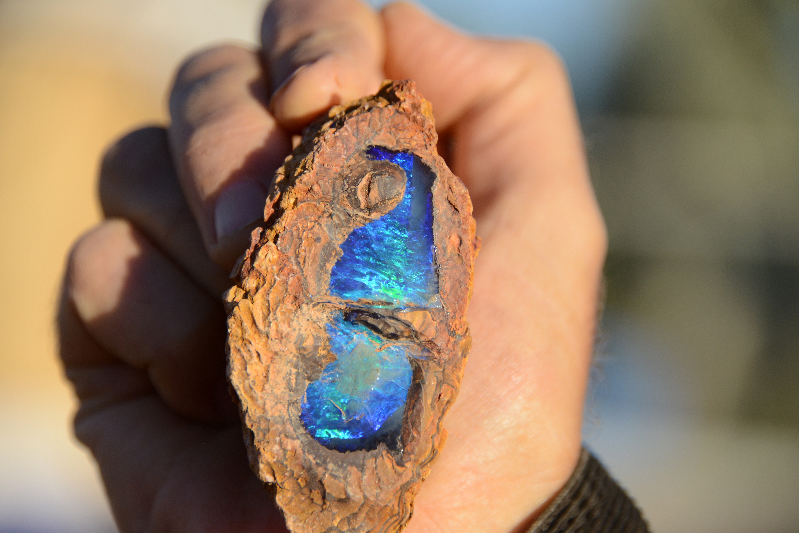 Boulder opal halves