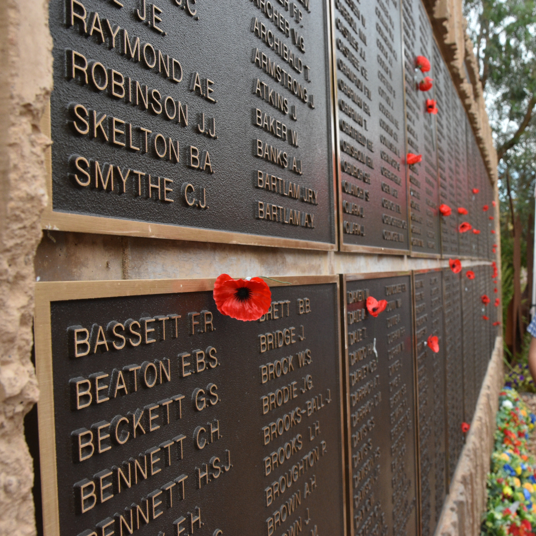 Remembrance day poppy cropped